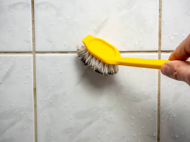 Best Same-Day Mold Removal  in Goodwater, AL