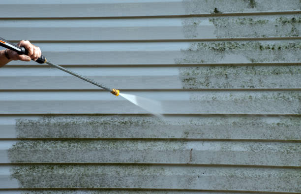Certified Mold Removal in Goodwater, AL