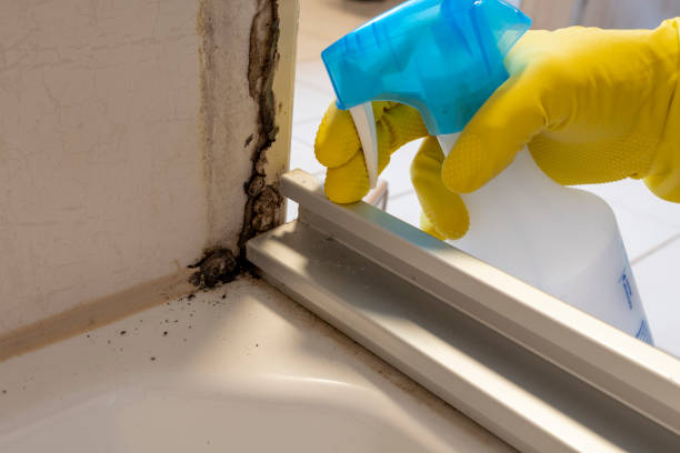 Best Professional Mold Removal  in Goodwater, AL