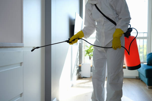Trusted Goodwater, AL Mold Removal Experts