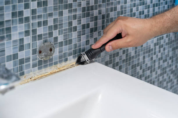 Best Emergency Mold Removal  in Goodwater, AL