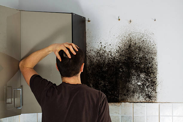 Best Mold Testing  in Goodwater, AL